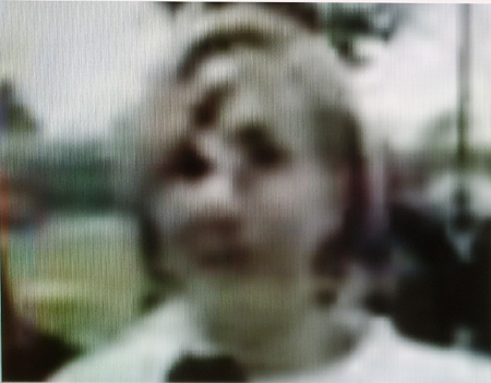 Fox 11 News strawberry fest reporter B